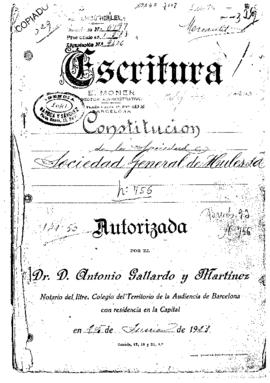 Escritura Constituci&oacute;n de...